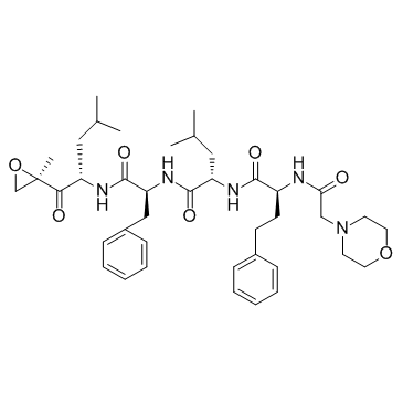 Carfilzomib 