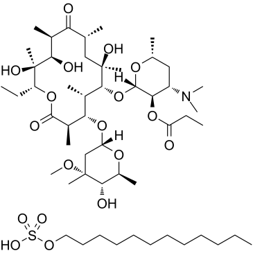 Erythromycin Estolate 