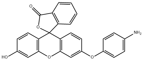 APF，3'-(4-aminophenoxy)-6'-hydroxyspiro[2-benzofuran-3,9'-xanthene]-1-one，359010-70-1