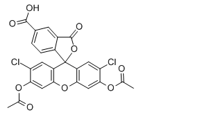 5(6)-Carboxy-2′,7′-dichlorofluorescein diacetate，5[6]-羧基-2',7'-二氯荧光素二乙酸酯，127770-45-0