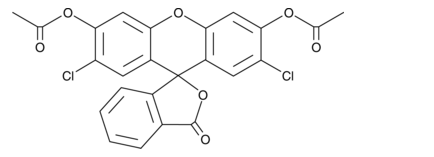 活化氧2',7'-Dichlorofluorescein diacetate，双氯荧光黄乙酸乙，2044-85-1