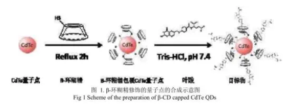 -环糊精修饰碲化镉CdTe量子点