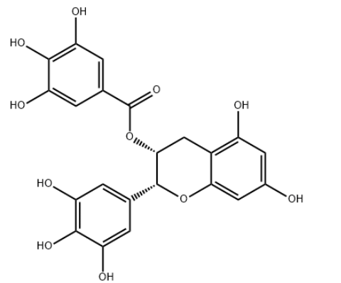 (-)-Epigallocatechin gallate (EGCG)，(-)-表没食子儿茶素没食子酸酯，989-51-5