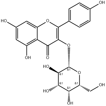 活化氧ROS分子kaempferol-3-O-galactoside三叶豆苷，CAS：23627-87-4