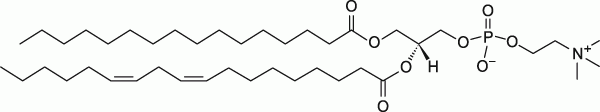 Soy PC|L-α-phosphatidylcholine (Soy)PC类磷脂