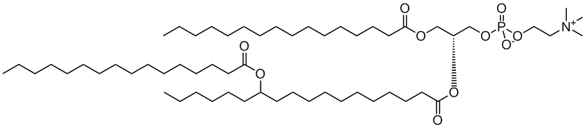 磷脂16:0-(12-PAHSA) PC|1-palmitoyl-2-[12’-(palmitoyloxy)octadecanoyl]-sn-glycero-3-phosphoholine