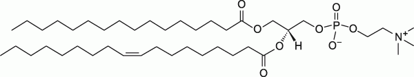 16:0-18:1 PC (POPC)|1-palmitoyl-2-oleoyl-glycero-3-phosphocholine