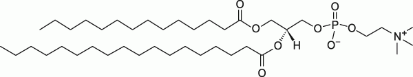 14:0-18:0 PC|1-myristoyl-2-stearoyl-sn-glycero-3-phosphocholine