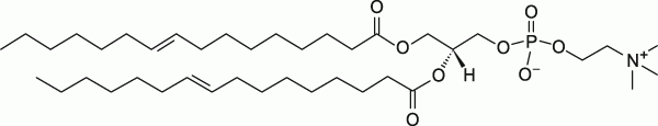 16:1 (Δ9-Trans) PC|1,2-dipalmitelaidoyl-sn-glycero-3-phosphocholine|PC磷脂