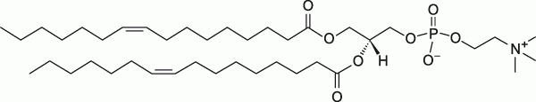 16:1 (Δ9-Cis) PC|1,2-dipalmitoleoyl-sn-glycero-3-phosphocholine