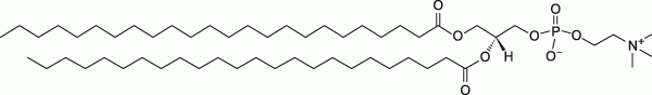 24:0 PC|1,2-dilignoceroyl-sn-glycero-3-phosphocholine