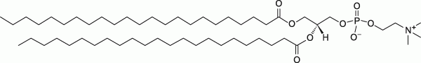 23:0 PC|1,2-ditricosanoyl-sn-glycero-3-phosphocholine