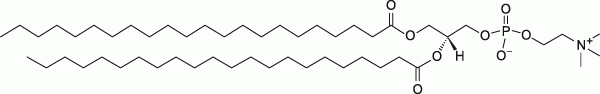 22:0 PC|1,2-dibehenoyl-sn-glycero-3-phosphocholine