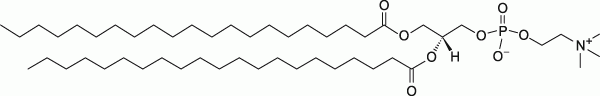 21:0 PC|1,2-diheneicosanoyl-sn-glycero-3-phosphocholine|PC磷脂