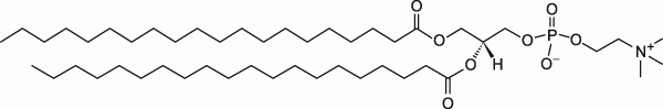 20:0 PC|1,2-diarachidoyl-sn-glycero-3-phosphocholine