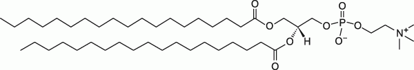 19:0 PC|1,2-dinonadecanoyl-sn-glycero-3-phosphocholine|PC磷脂