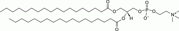 18:0 PC (DSPC)|1,2-distearoyl-sn-glycero-3-phosphocholine|PC磷脂