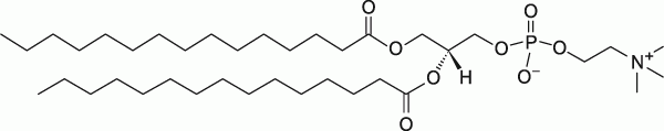 15:0 PC|1,2-dipentadecanoyl-sn-glycero-3-phosphocholine