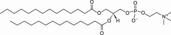 14:0 PC (DMPC)|1,2-dimyristoyl-sn-glycero-3-phosphocholine|