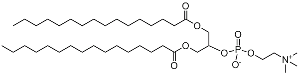 16:0 2-PC|1,3-dipalmitoyl-rac-glycero-2-phosphocholine