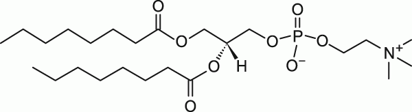 08:0 PC|1,2-dioctanoyl-sn-glycero-3-phosphocholine