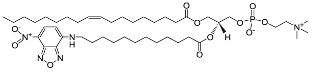 18:1-12:0 NBD PC|1-Oleoyl-2-[12-[(7-nitro-2-1,3-benzoxadiazol-4-yl)amino]dodecanoyl]-sn-Glycero-3-Phosphocholine