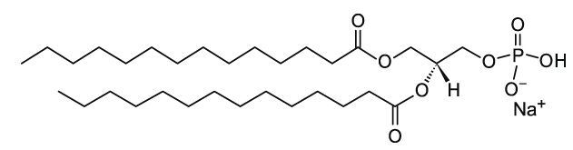 DMPA (14:0 PA) 