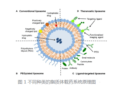 脂质体包冬凌草甲素