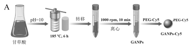 甘草酸纳米粒GANPs