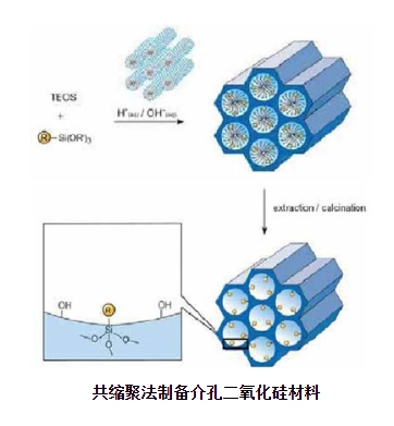 介孔二氧化硅接枝多肽