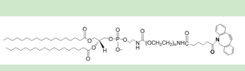 DSPE-PEG2K-DBCO