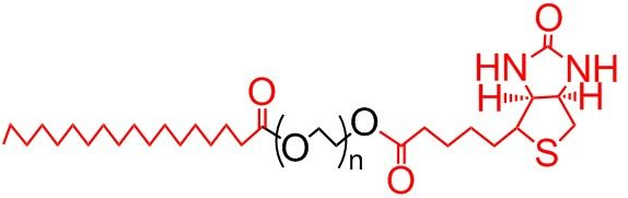 硬脂酸PEG生物素、SA-PEG-Biotin、硬脂酸-聚乙二醇-生物素