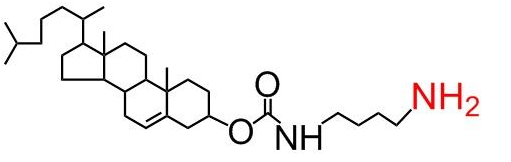 CLS-NH2 、胆固醇-氨基、 Cholesterol-NH2