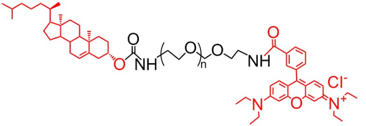 Rhodamine-PEG-CLS、RB-PEG-CLS、胆固醇-聚乙二醇-罗丹明