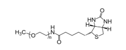 mPEG-Biotin，甲氧基聚乙二醇-生物素，甲氧基PEG生物素