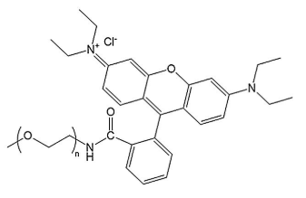 mPEG-Rhodamine，mPEG-RB，甲氧基-聚乙二醇-罗丹明