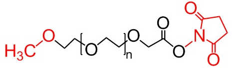 MPEG-NHS、甲氧基聚乙二醇-琥珀酰亚胺脂、nhs mpeg