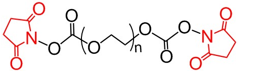 NHS-PEG-NHS 、双活性酯聚乙二醇、N-羟基琥珀酰亚胺脂