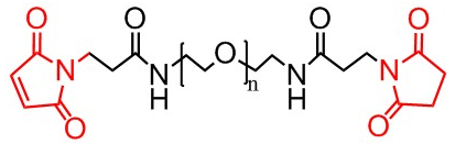 马来酰亚胺-聚乙二醇-马来酰亚胺，Mal-PEG-Mal，双马来酰亚胺聚乙二醇