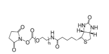 Biotin-PEG-NHS，生物素-聚乙二醇-活性酯，Biotin-PEG-NHS