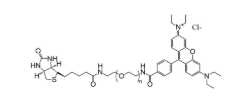 罗丹明-聚乙二醇-生物素，RB-PEG-Biotin，罗丹明b-peg生物素