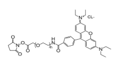 罗丹明-聚乙二醇-活性酯，RB-PEG-NHS，Rhodamine-PEG-NHS