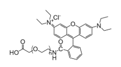  RB-PG-COOH，罗丹明聚乙二醇羧基，RhodamineB-PEG-acid