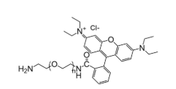 RB-PEG-NH2，罗丹明-聚乙二醇-氨基，Rhodamine-PEG-NH2