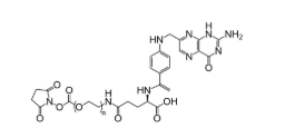 FA-PEG-NHS,叶酸-聚乙二醇-活性脂,Folic acid-PEG-NHS