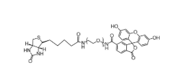 荧光素-聚乙二醇-氨基，FITC-PEG-NH2，Fluorescein-PEG-amine