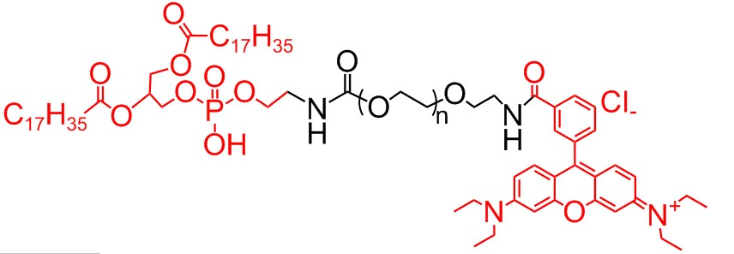 DSPE-PEG-RB、磷脂PEG罗丹明，二硬脂酰基磷脂酰乙醇胺-聚乙二醇-罗丹明