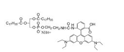 罗丹明标记二硬脂酰磷脂酰乙醇胺，DSPE-RB，DSPE-Rhodamine