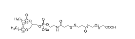 磷脂-SS-聚乙二醇-羧基，DSPE-SS-PEG-COOH，羧基聚乙二醇-二硫键-二硬脂酰基磷脂酰乙醇胺