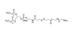 DSPE-SS-PEG-NH2,二硬脂酰基磷脂酰乙醇胺-双硫键-聚乙二醇-氨基